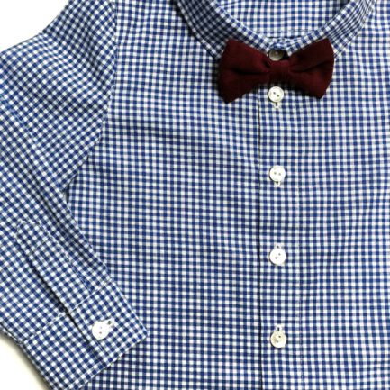 Overhemd Gingham